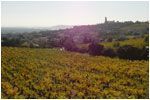 Domaine Usseglio Chateauneuf du Pape